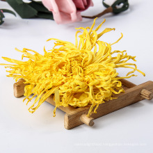 Golden Silk Chrysanthemum Flowers Tea